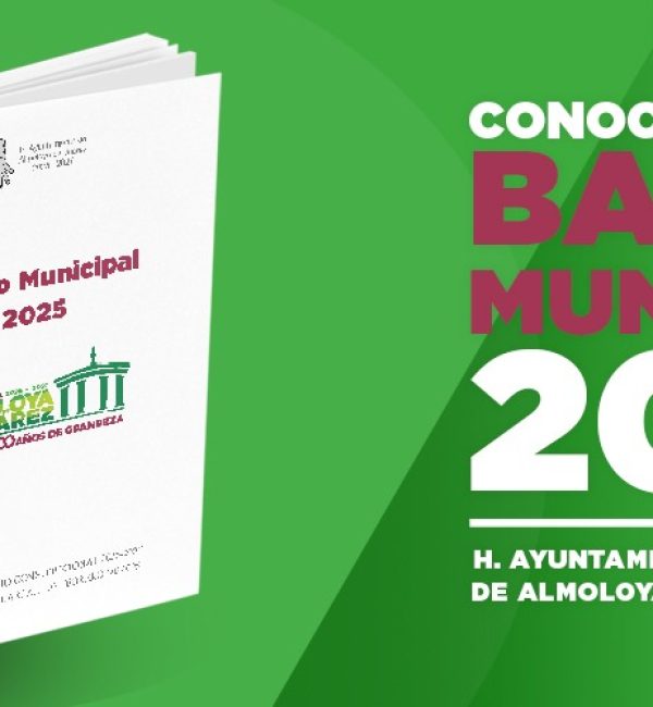 bando-municipal